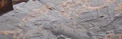 الشرعي ساقتين 6